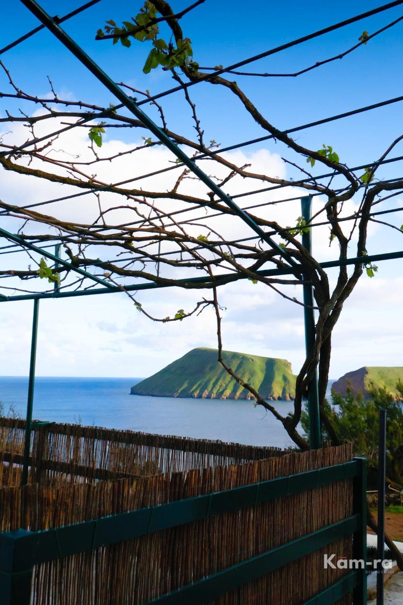 Casa Da Avo Couta Villa Angra do Heroísmo Buitenkant foto